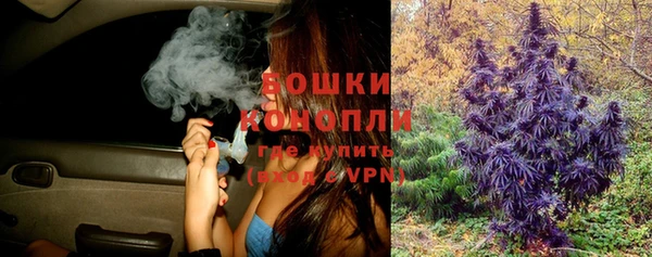 соль ск Верхний Тагил